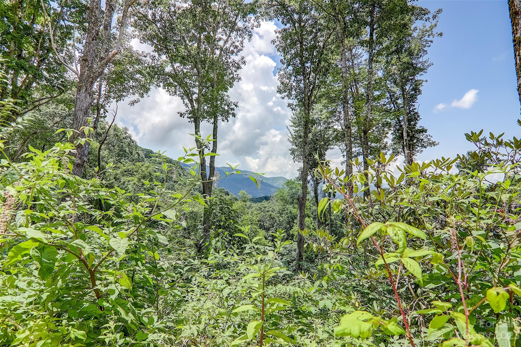 0 Centurian Lane Maggie Valley NC 28751