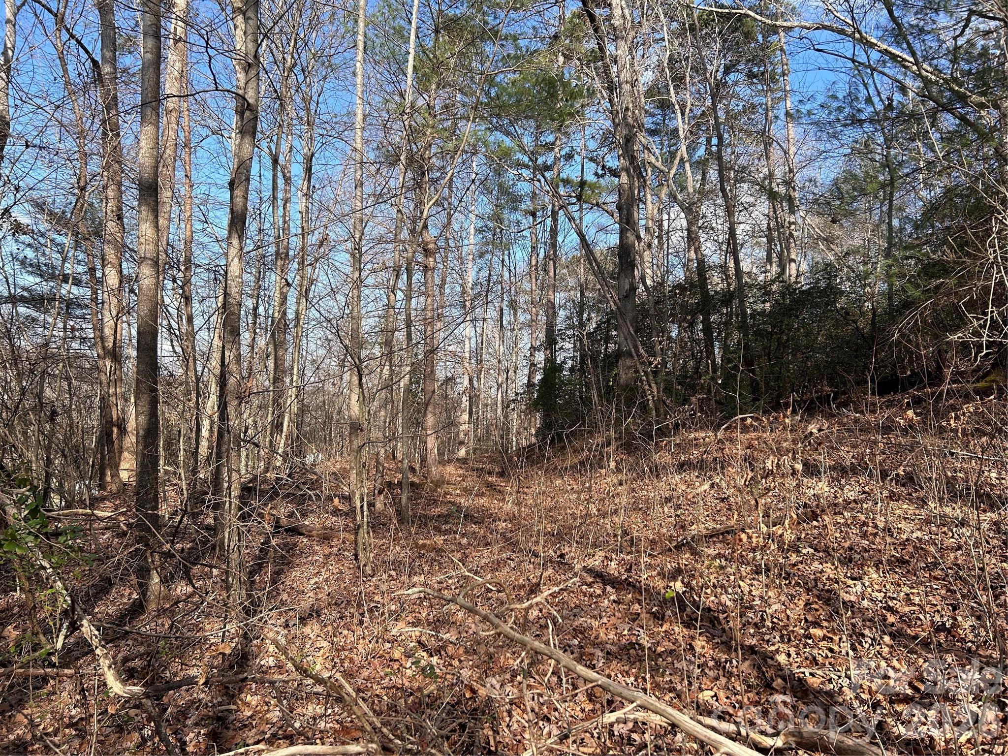 303 Burke Street Hickory NC 28601