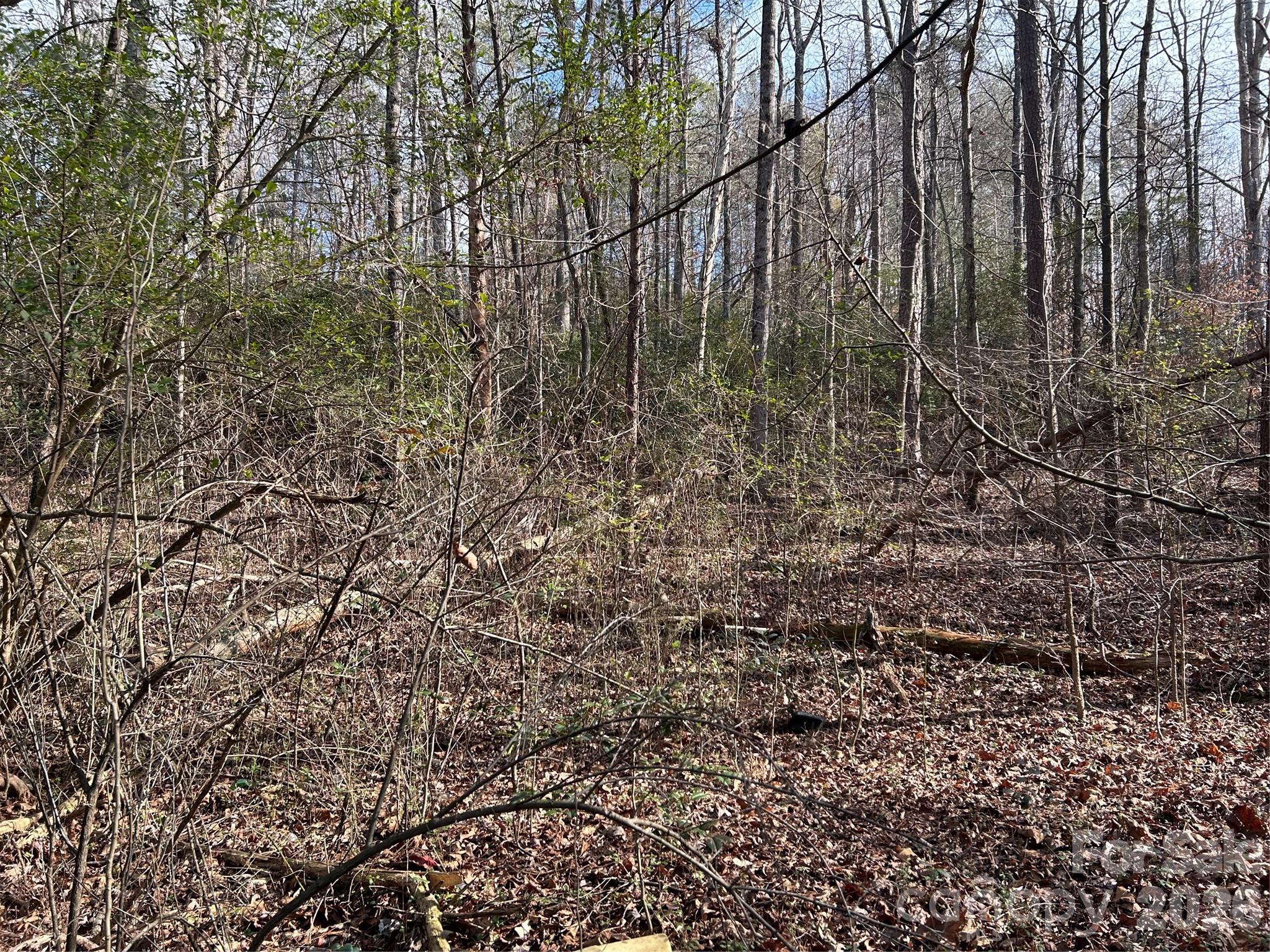 303 Burke Street Hickory NC 28601