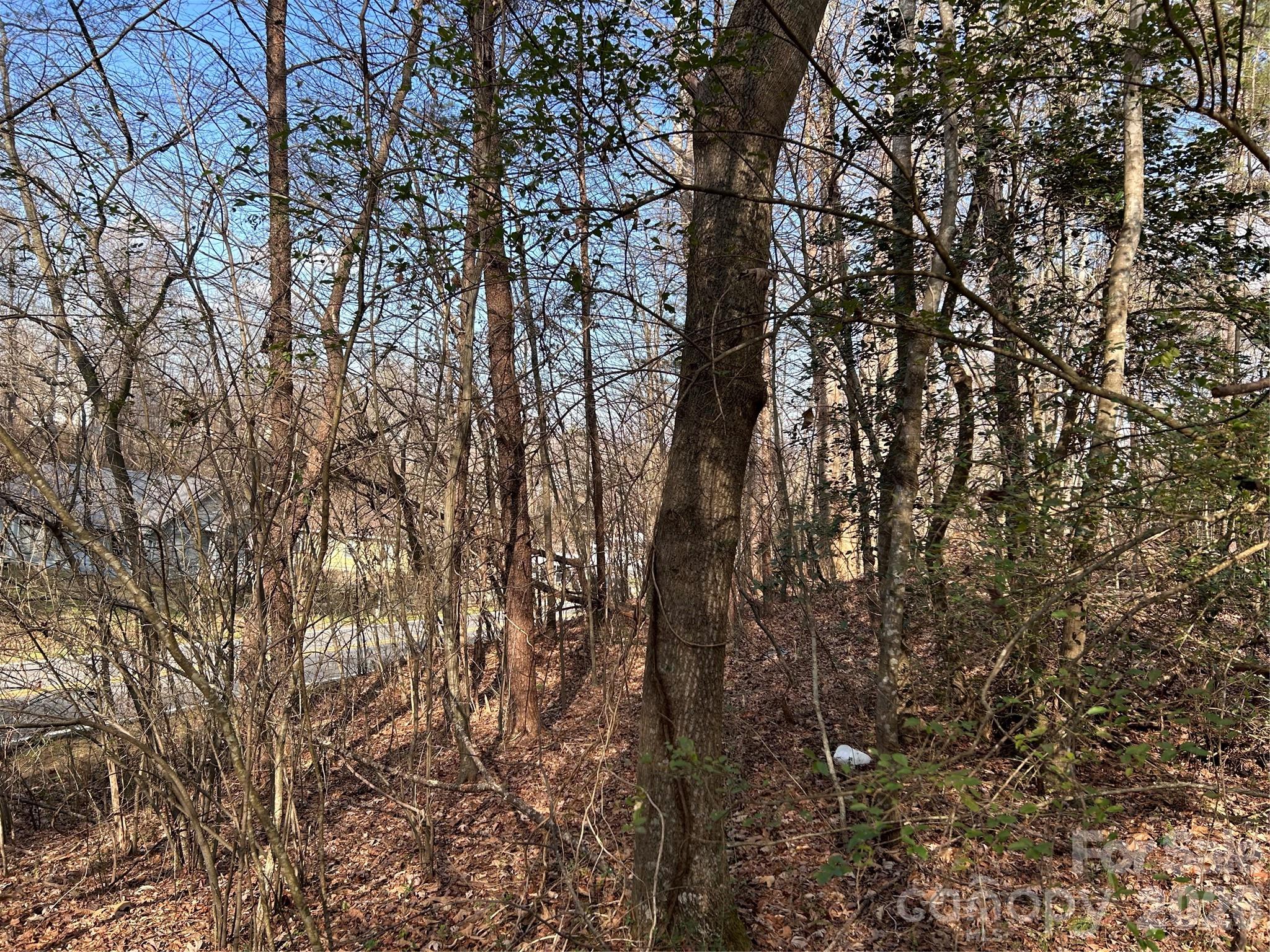 303 Burke Street Hickory NC 28601