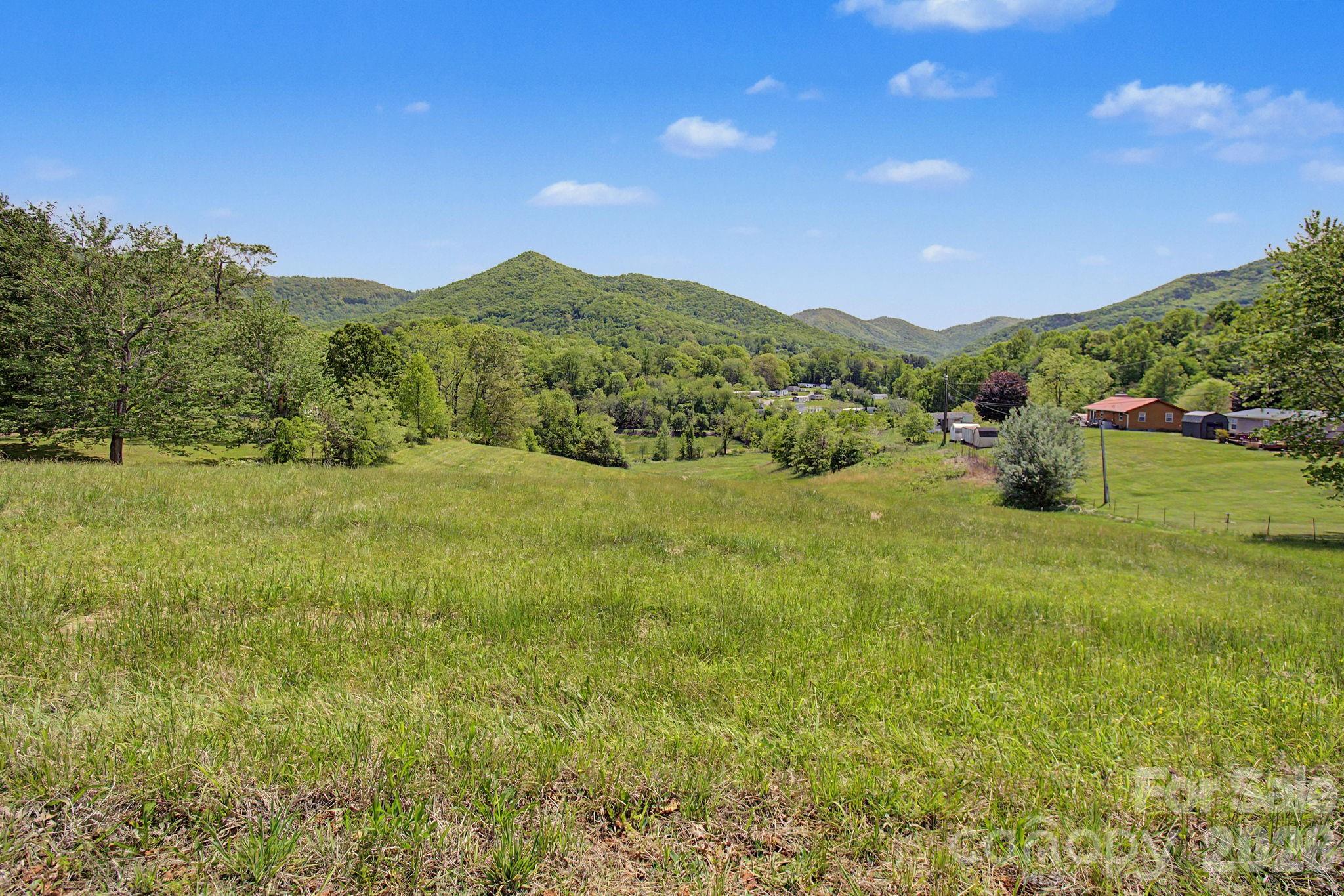 99999 Wise Road Candler NC 28715