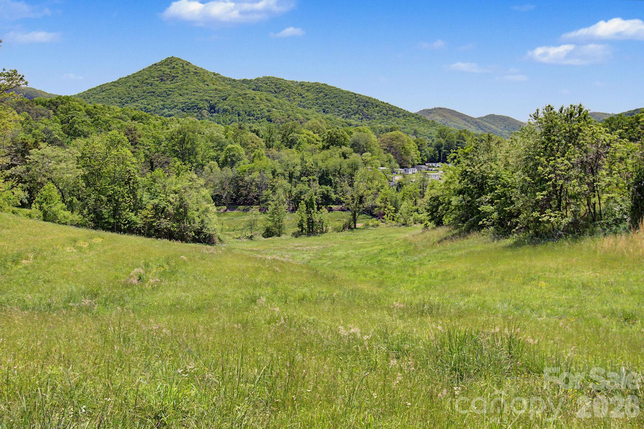 99999 Wise Road Candler NC 28715