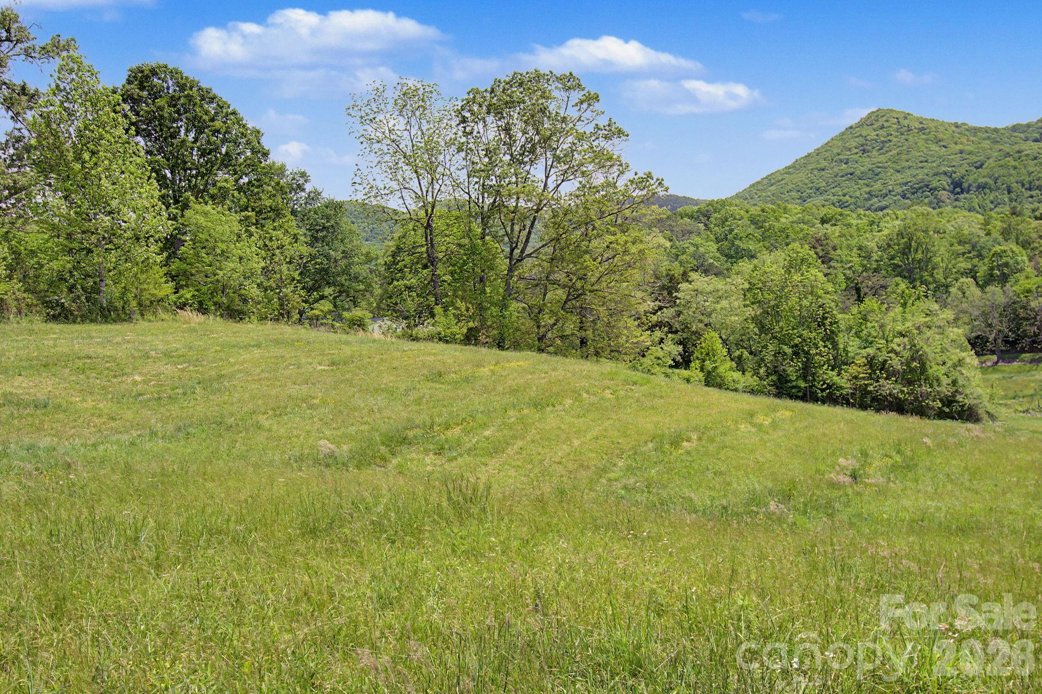 99999 Wise Road Candler NC 28715