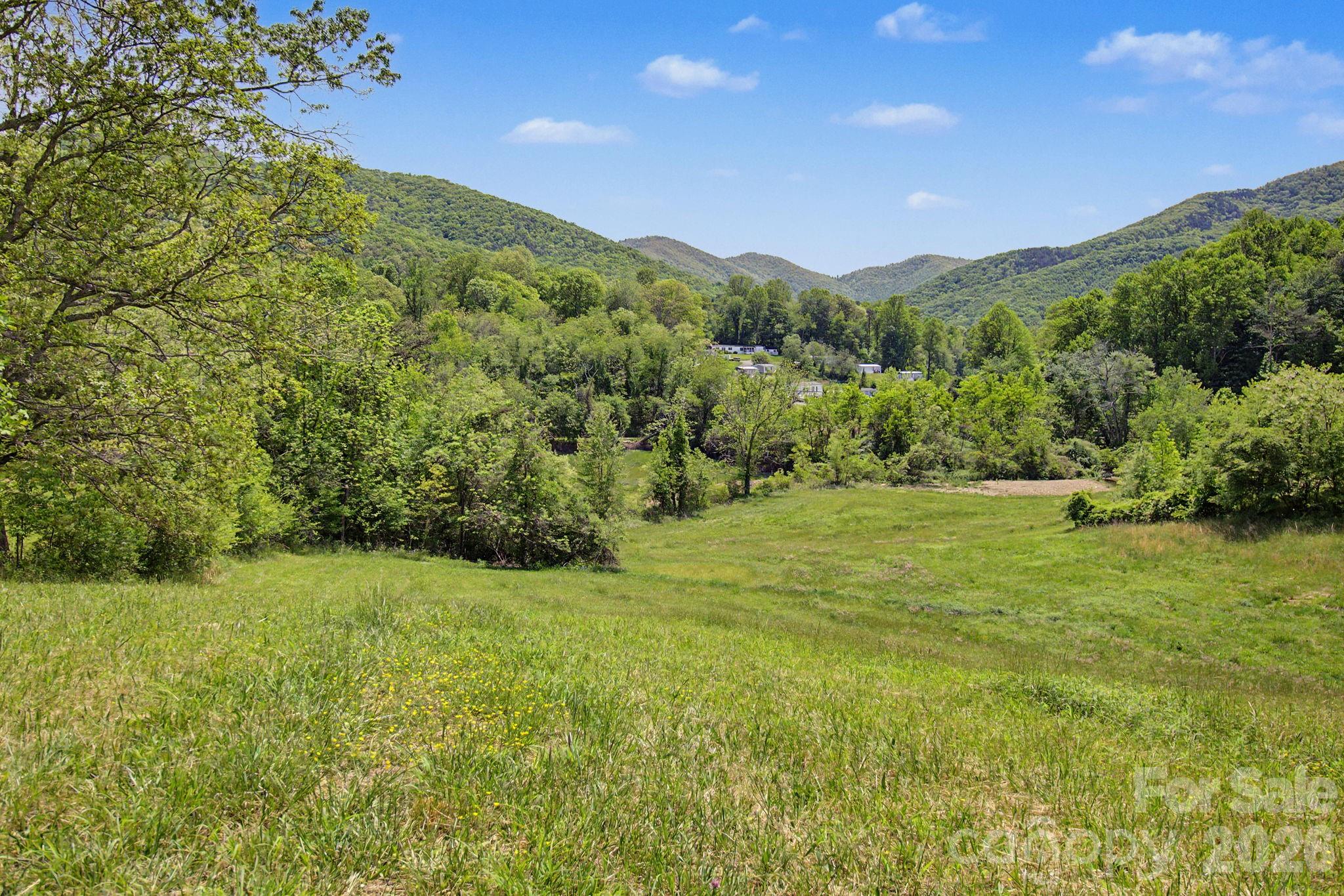 99999 Wise Road Candler NC 28715