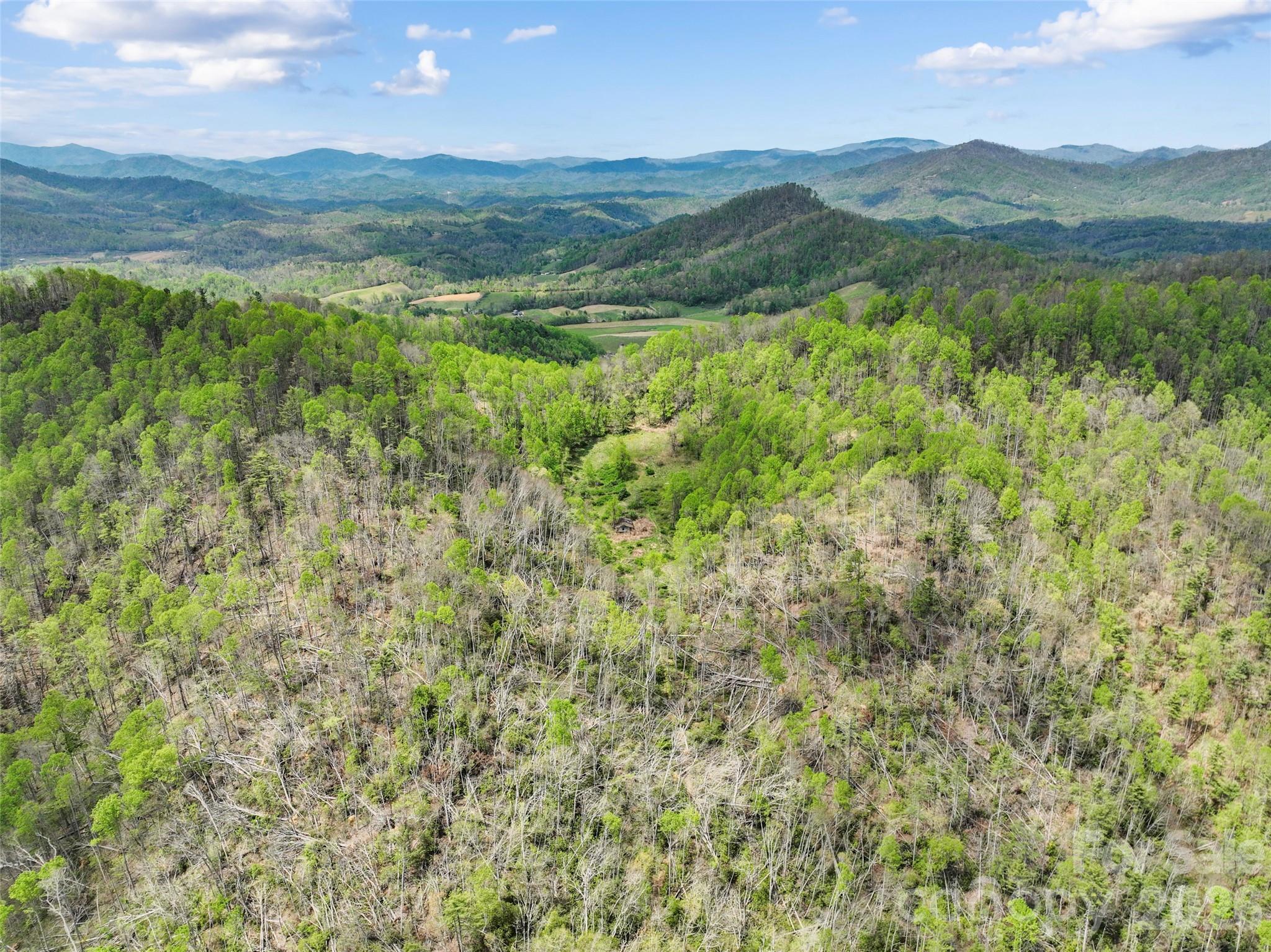Tbd Sierra Drive Bakersville NC 28705