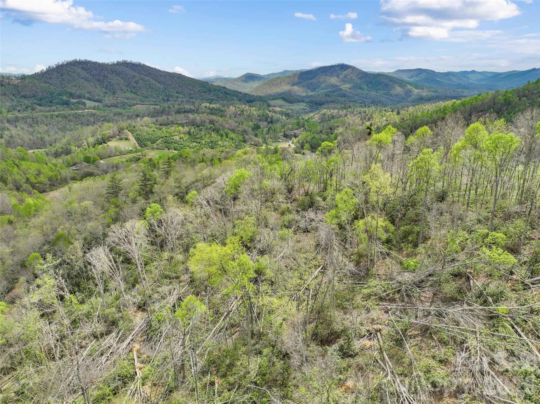 Tbd Sierra Drive Bakersville NC 28705