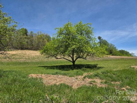 Tbd Sierra Drive Bakersville NC 28705