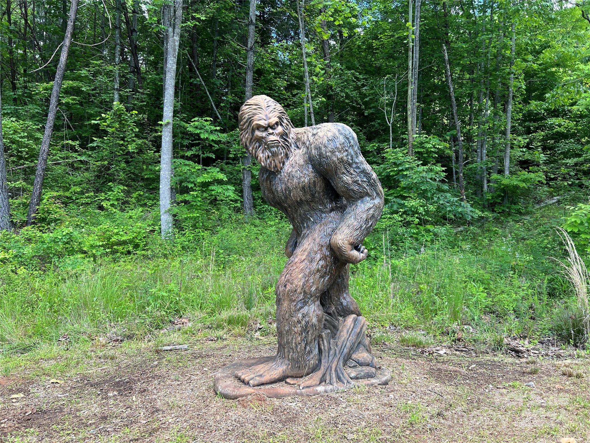 0000 Eamon Drive Union Mills NC 28167