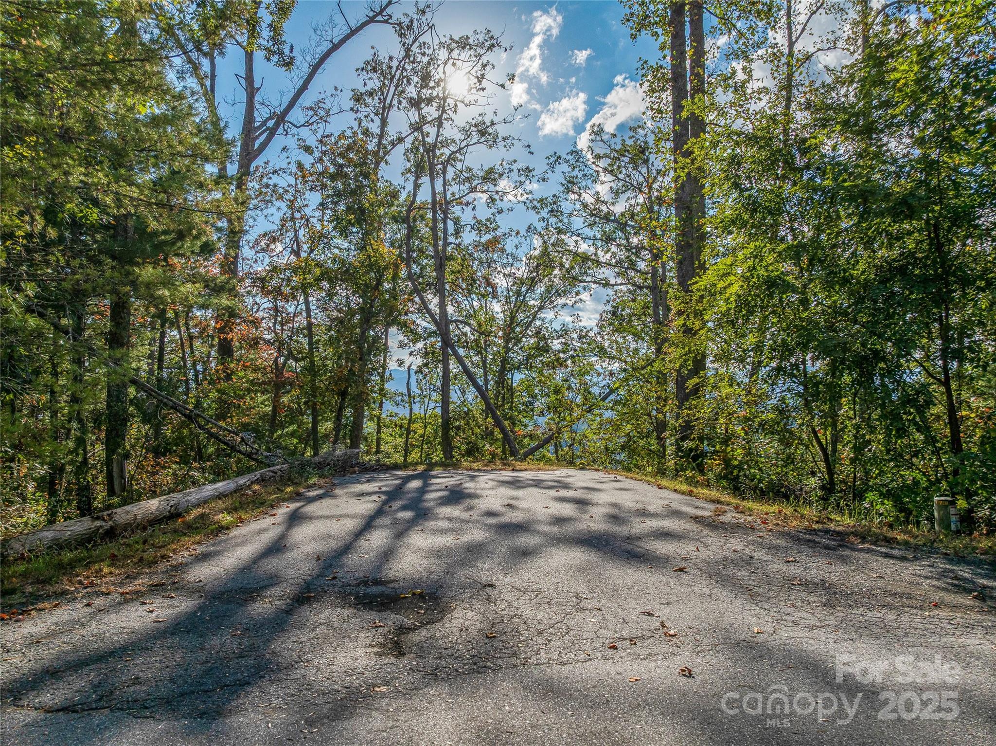 273 Serenity Ridge Trail Asheville NC 28804