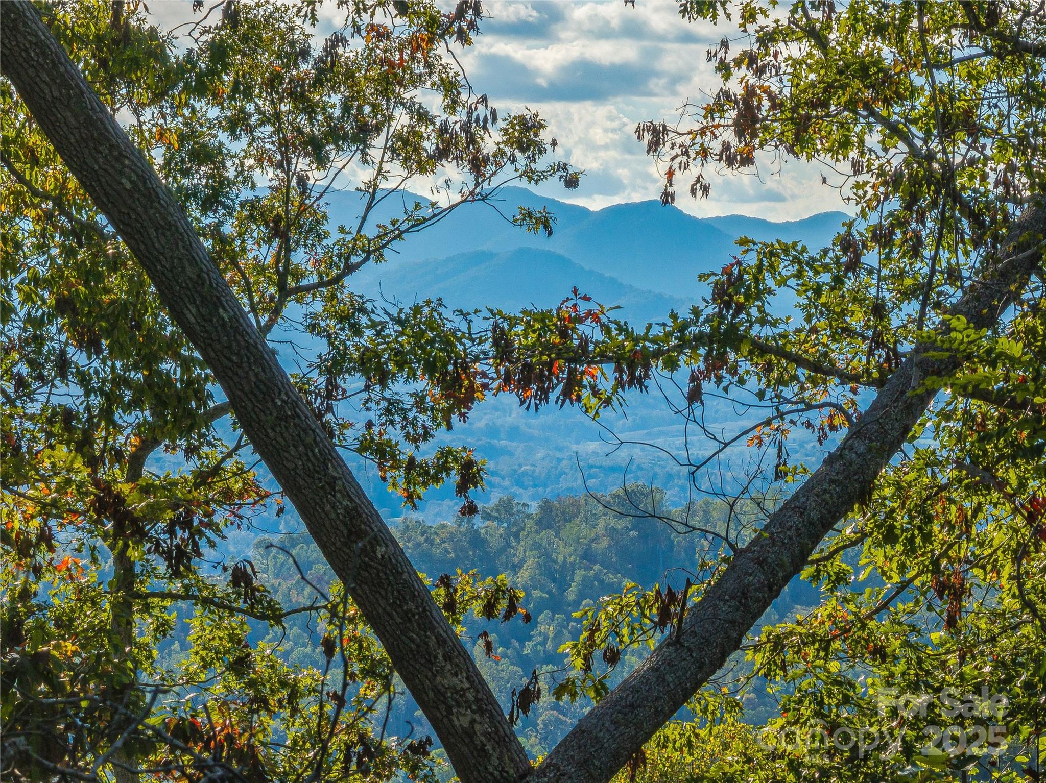 273 Serenity Ridge Trail Asheville NC 28804