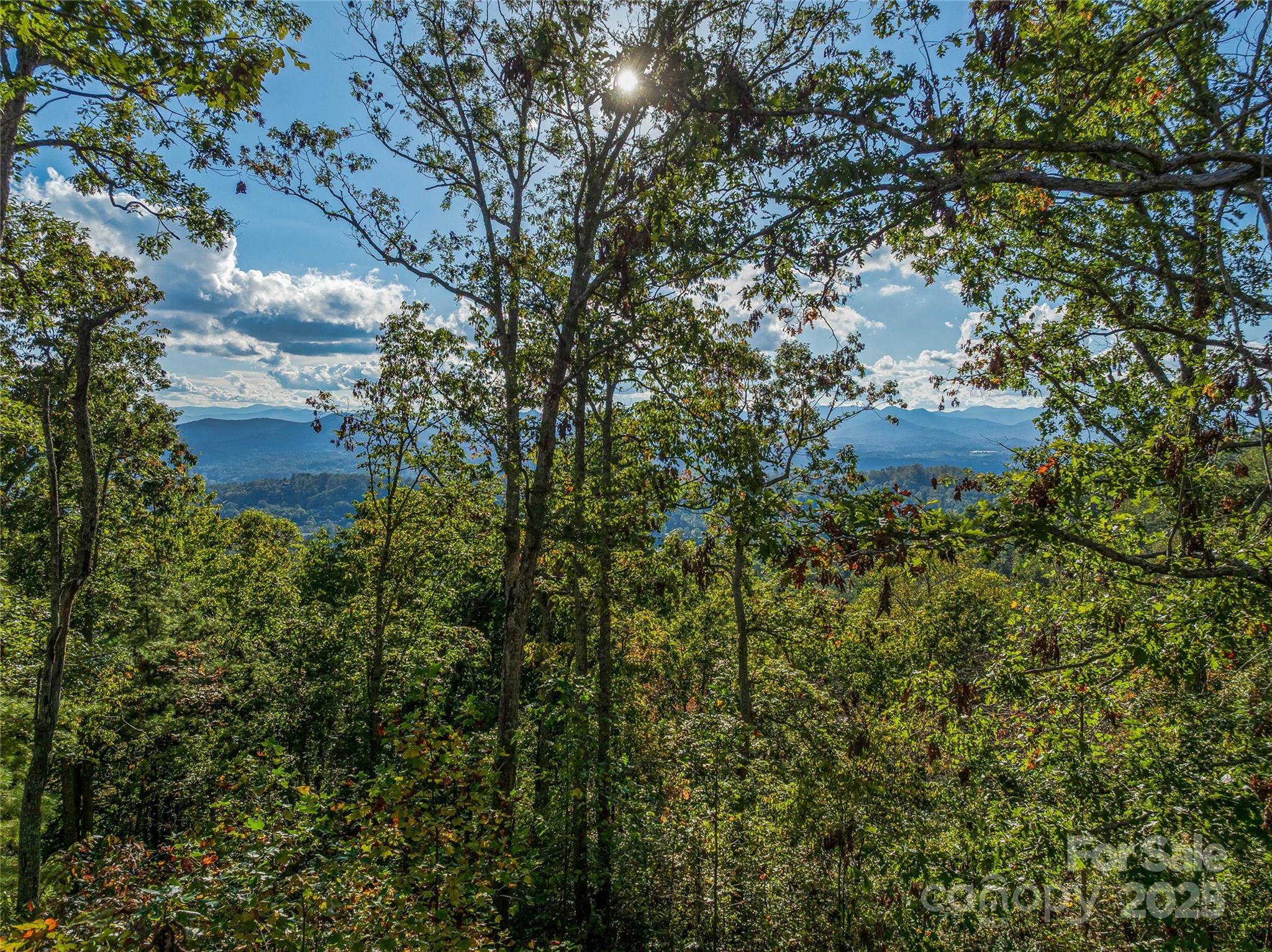 273 Serenity Ridge Trail Asheville NC 28804