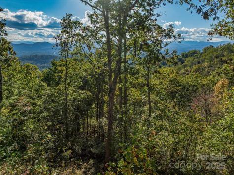 273 Serenity Ridge Trail Asheville NC 28804