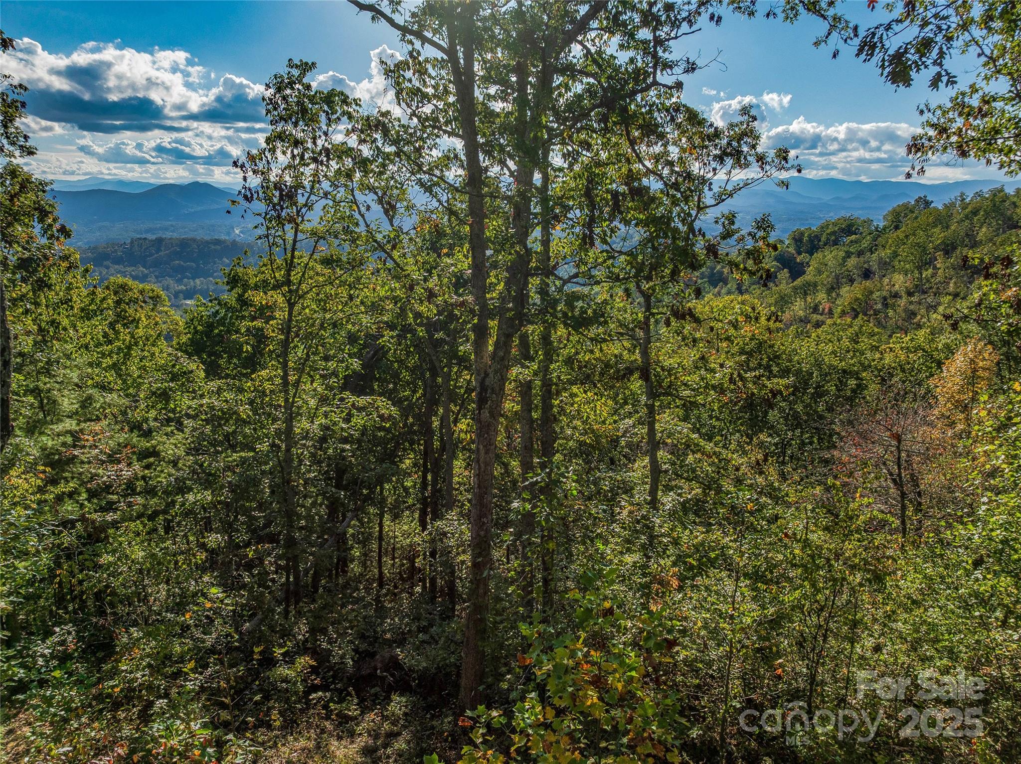 273 Serenity Ridge Trail Asheville NC 28804