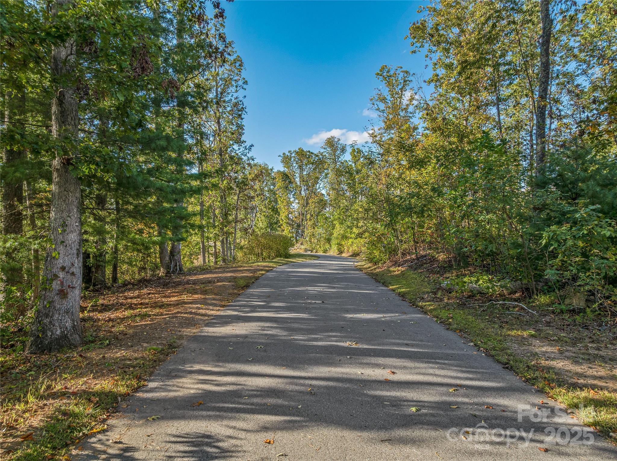 273 Serenity Ridge Trail Asheville NC 28804