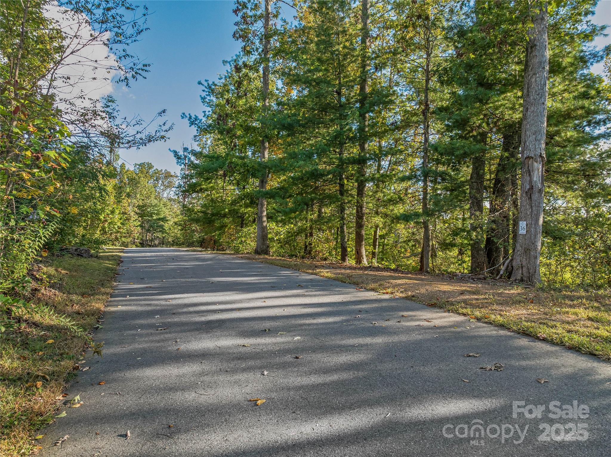 273 Serenity Ridge Trail Asheville NC 28804