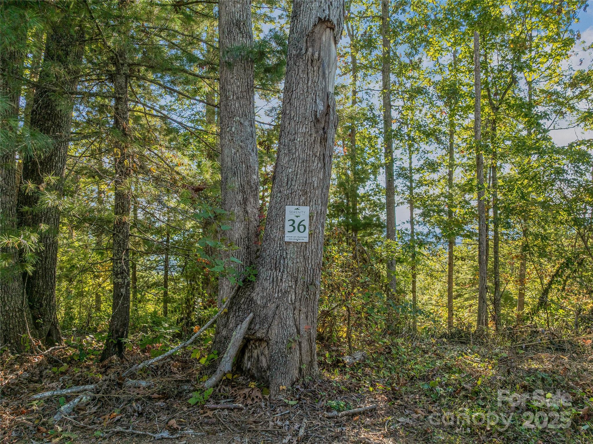 273 Serenity Ridge Trail Asheville NC 28804