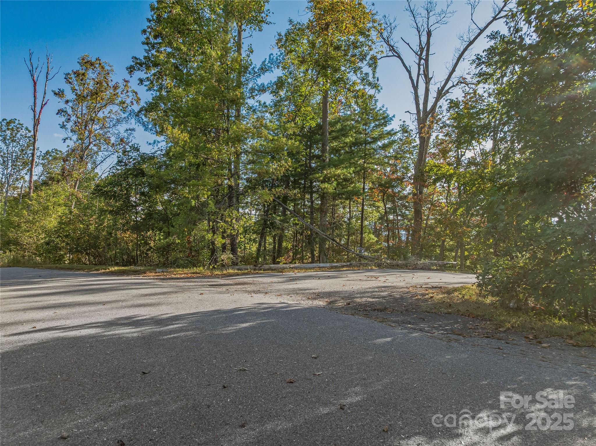 273 Serenity Ridge Trail Asheville NC 28804