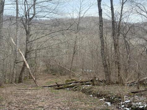 Tbd 1.21 Acres Jass Cove Road Marshall NC 28753