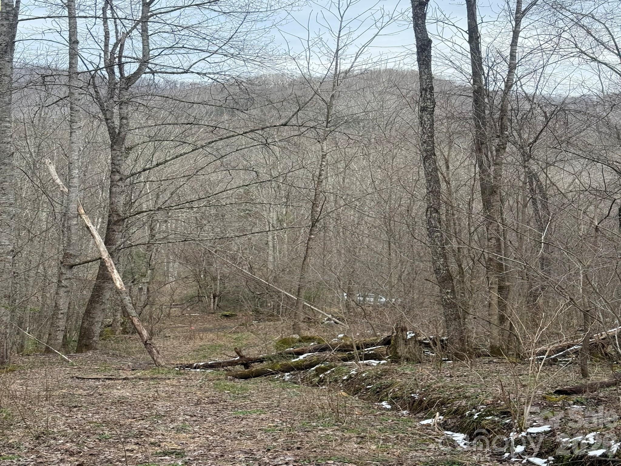 Tbd 1.21 Acres Jass Cove Road Marshall NC 28753