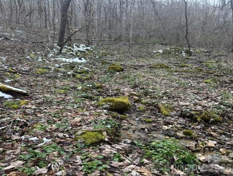 Tbd 1.21 Acres Jass Cove Road Marshall NC 28753