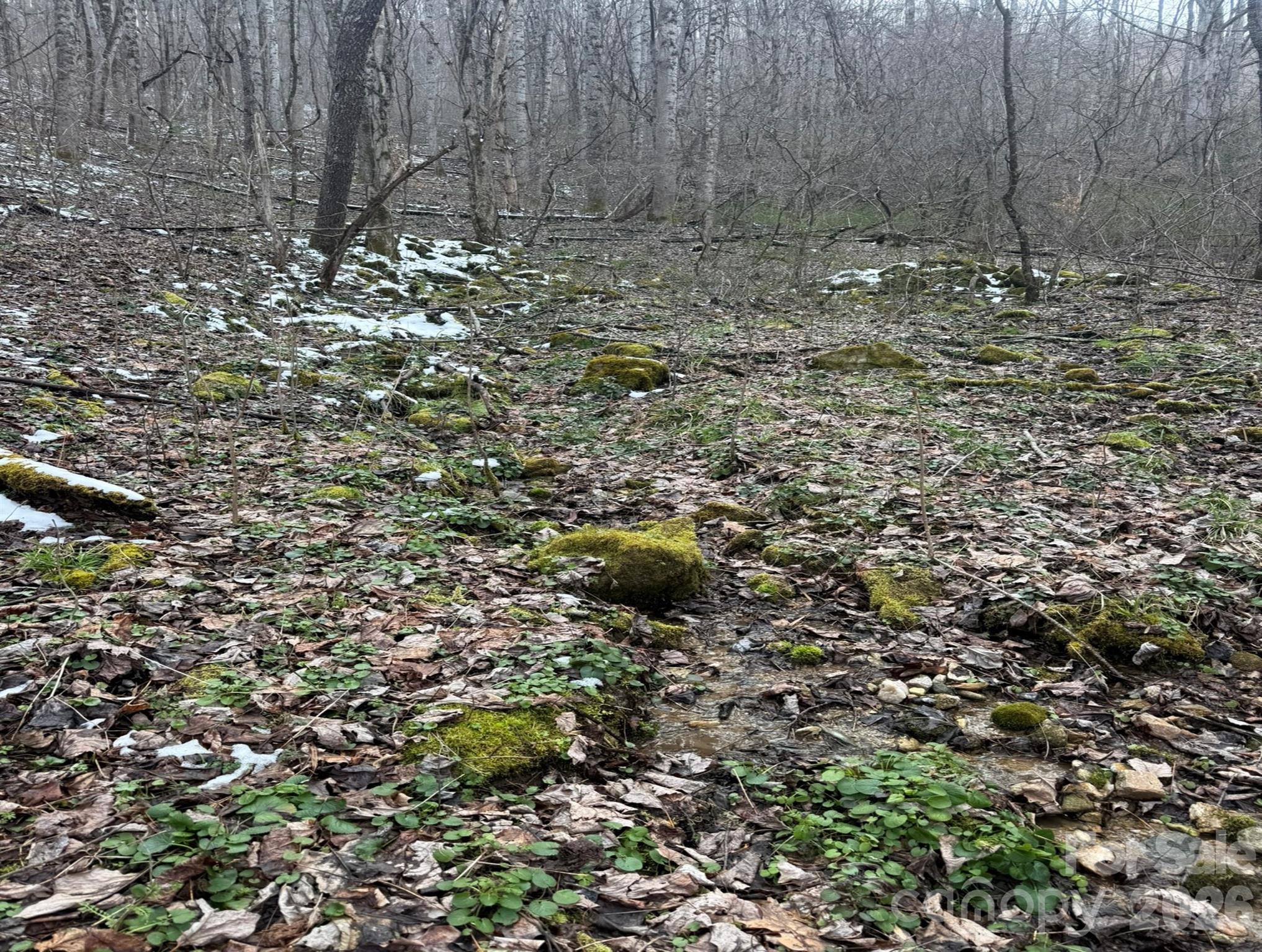 Tbd 1.21 Acres Jass Cove Road Marshall NC 28753