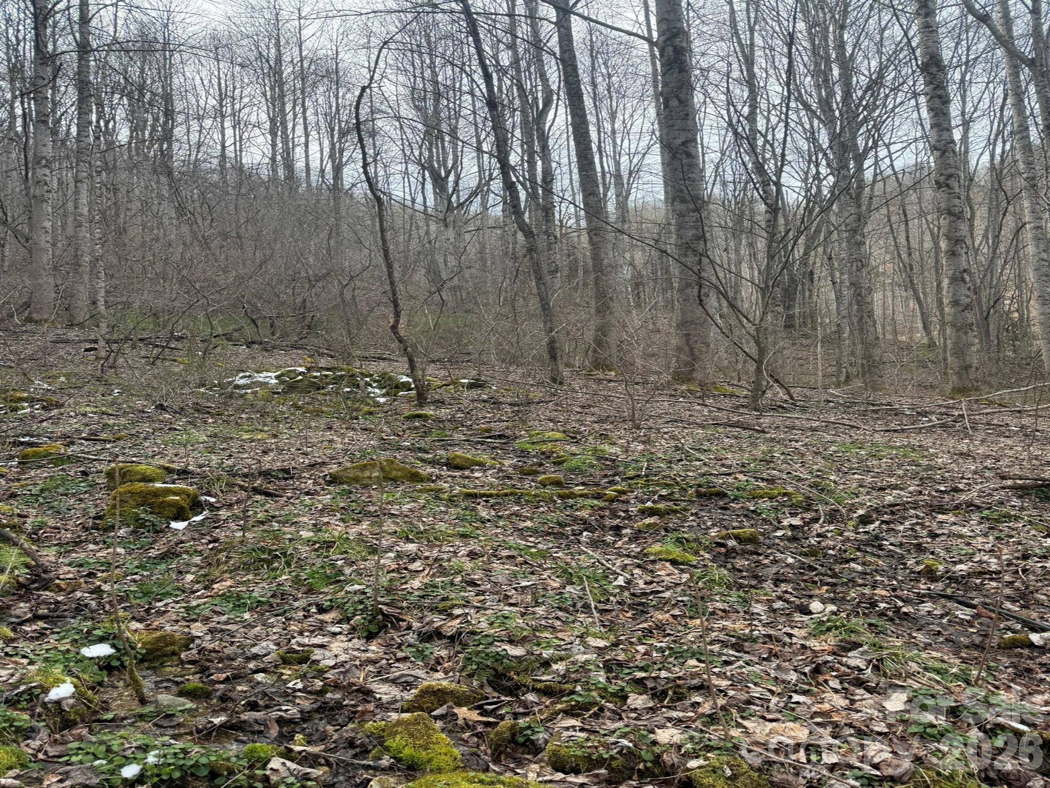 Tbd 1.21 Acres Jass Cove Road Marshall NC 28753