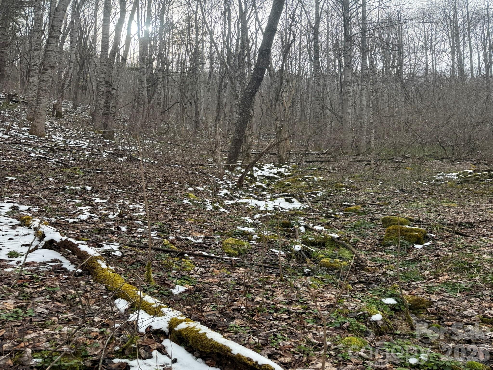 Tbd 1.21 Acres Jass Cove Road Marshall NC 28753