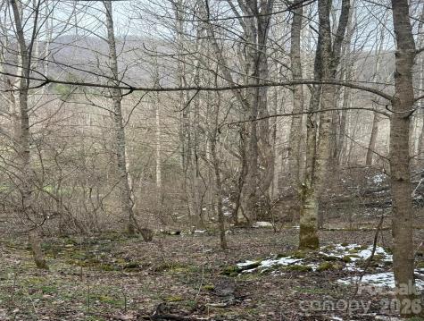 Tbd 1.21 Acres Jass Cove Road Marshall NC 28753