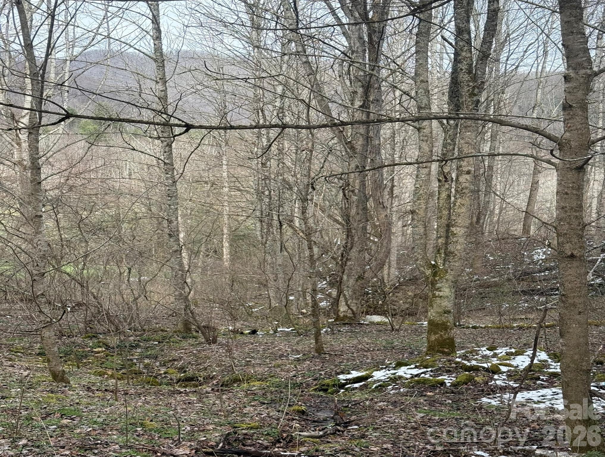 Tbd 1.21 Acres Jass Cove Road Marshall NC 28753