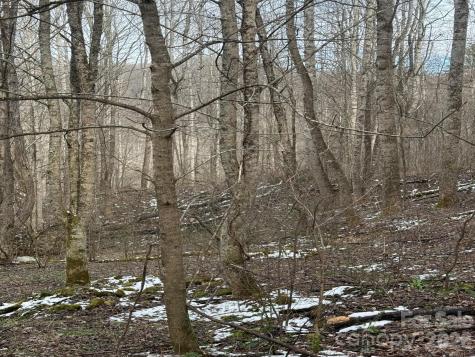 Tbd 1.21 Acres Jass Cove Road Marshall NC 28753
