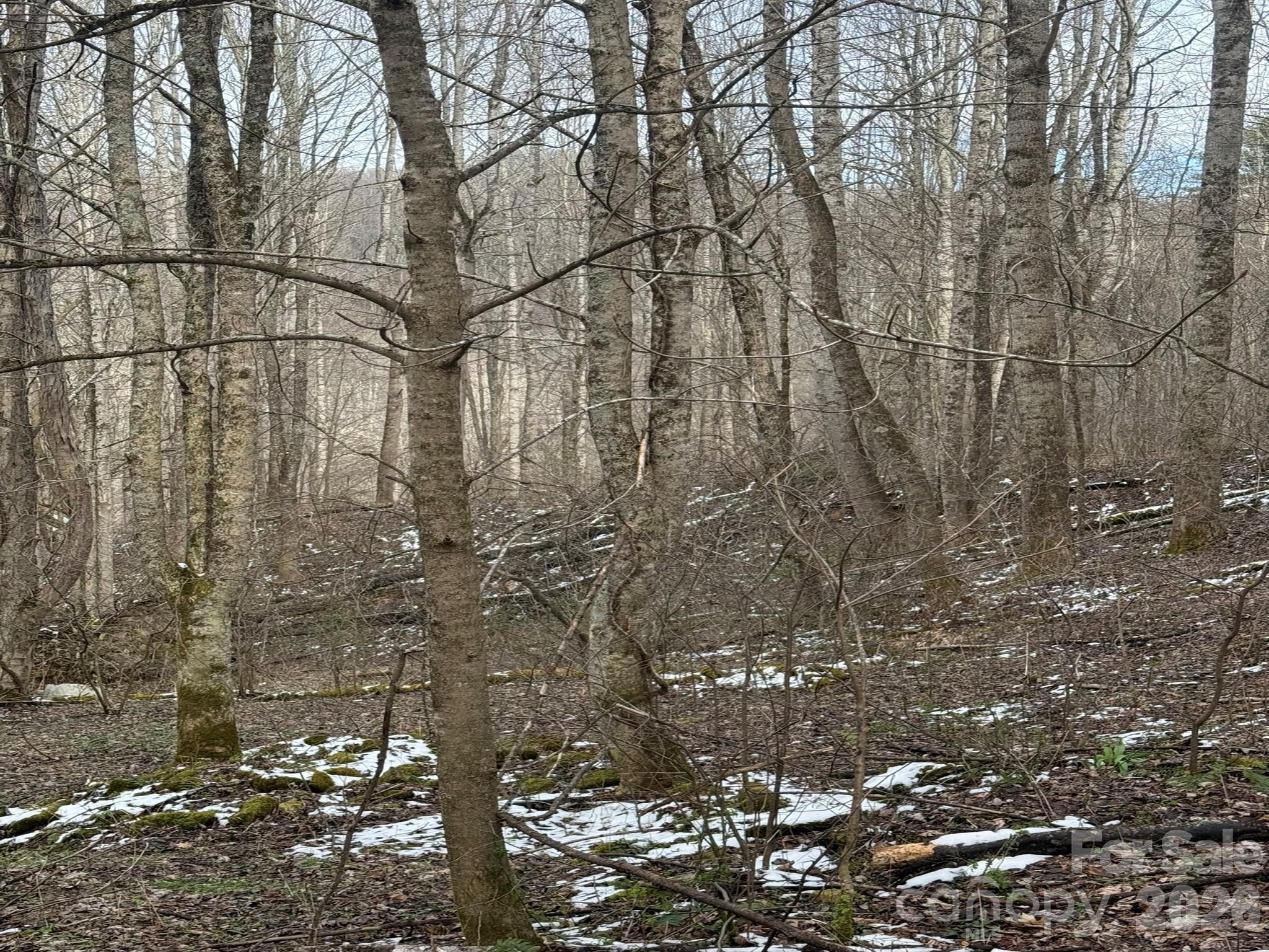 Tbd 1.21 Acres Jass Cove Road Marshall NC 28753