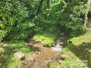 9 Red Leafe Trail Sylva NC 28779