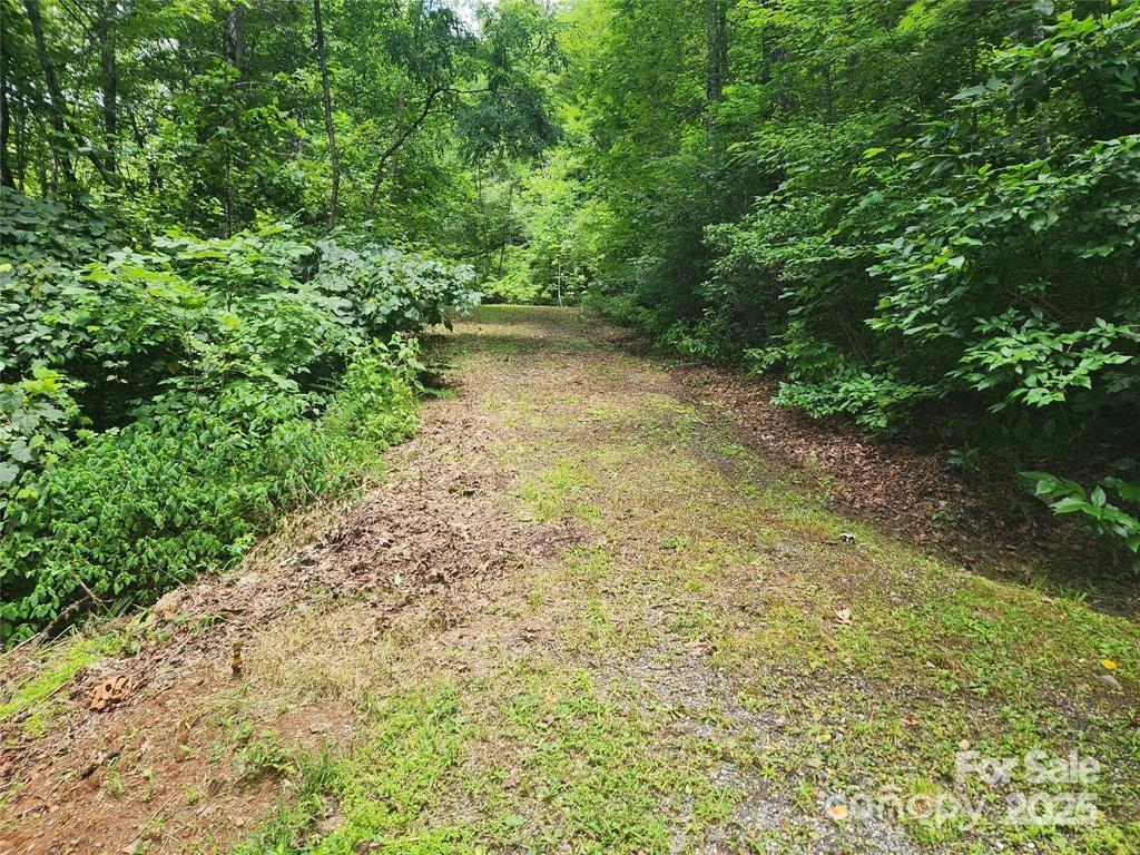 9 Red Leafe Trail Sylva NC 28779