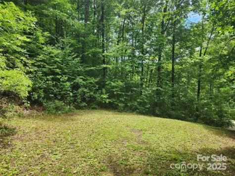 9 Red Leafe Trail Sylva NC 28779