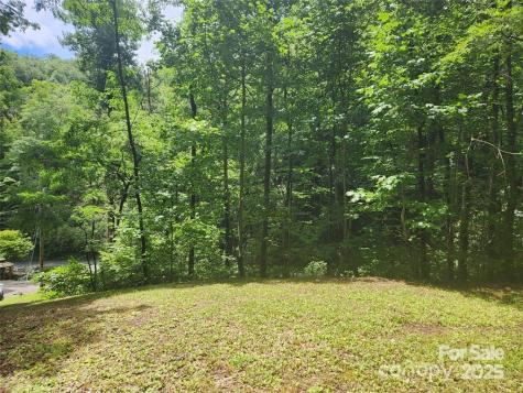 9 Red Leafe Trail Sylva NC 28779