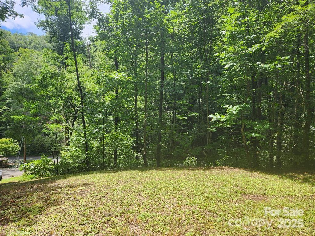 9 Red Leafe Trail Sylva NC 28779
