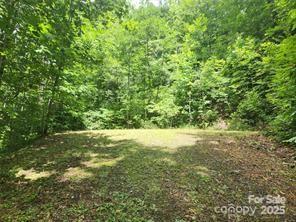 9 Red Leafe Trail Sylva NC 28779