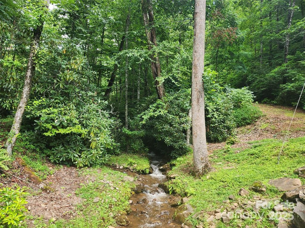 9 Red Leafe Trail Sylva NC 28779