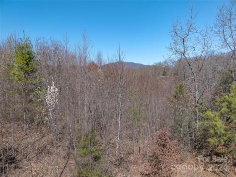 00 Woodland Drive Waynesville NC 28786