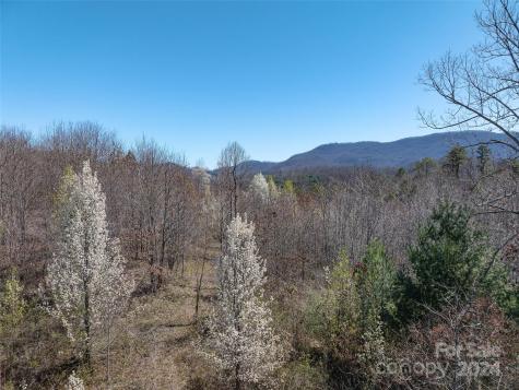 00 Woodland Drive Waynesville NC 28786