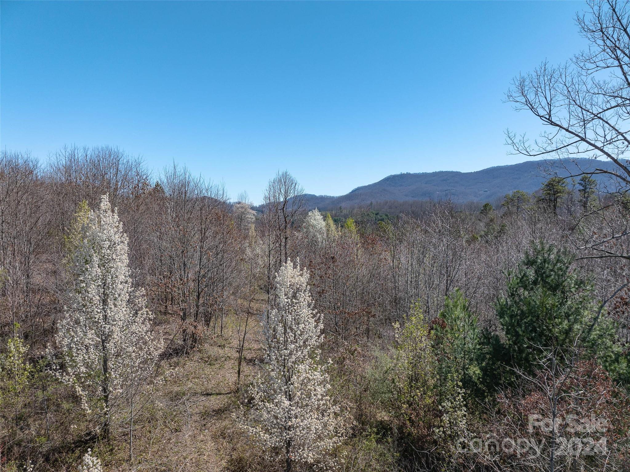 00 Woodland Drive Waynesville NC 28786