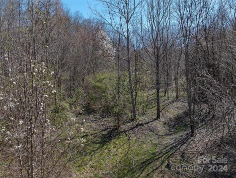 00 Woodland Drive Waynesville NC 28786