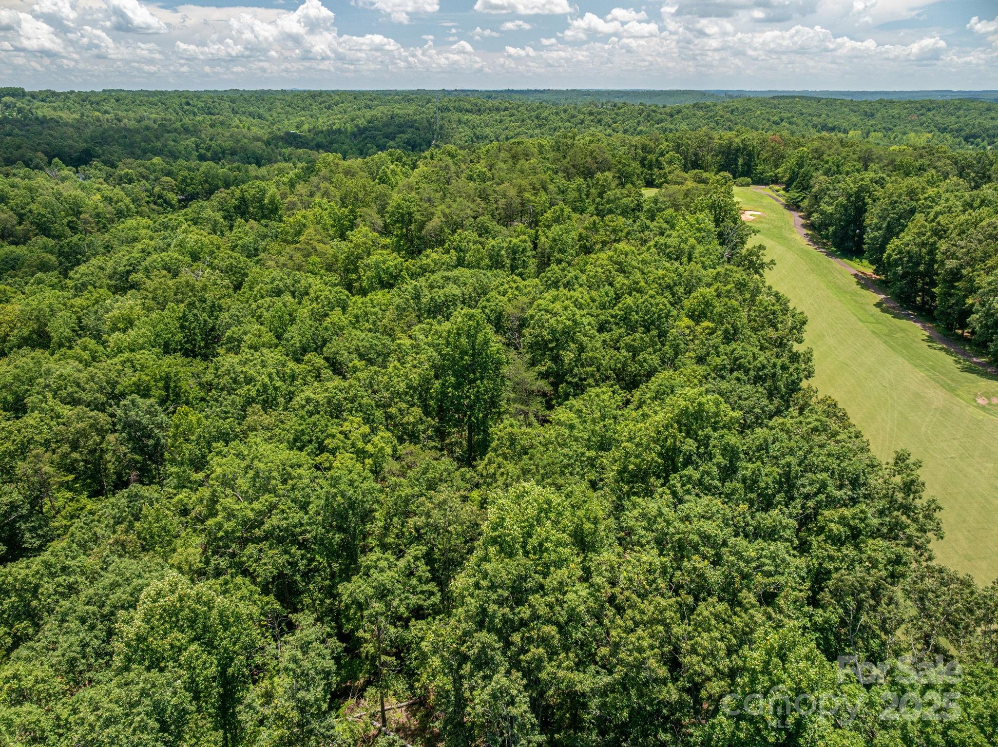 Lot 218 Plantation Drive Rutherfordton NC 28139