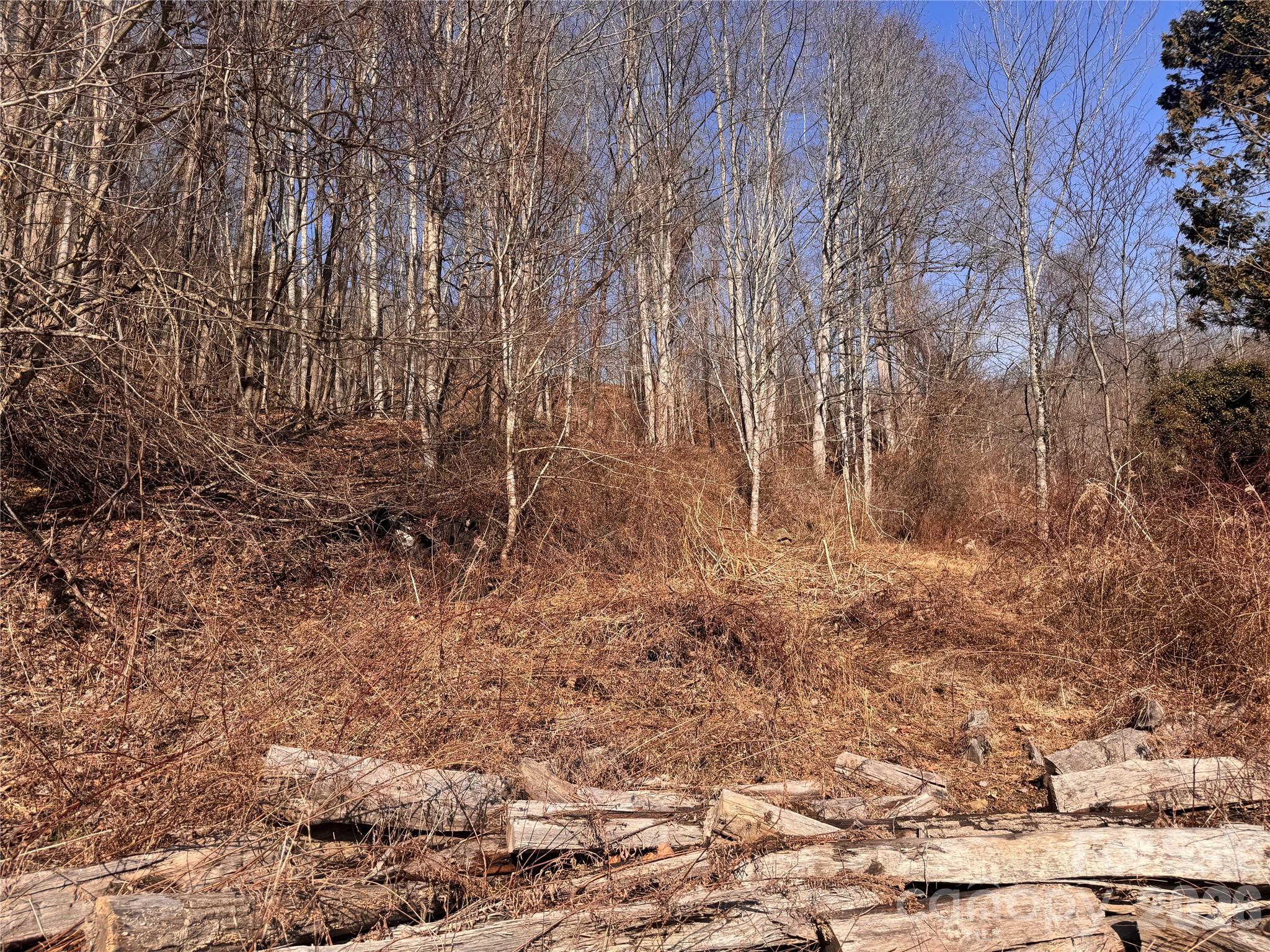 00 S Us 19 Highway E Newland NC 28657