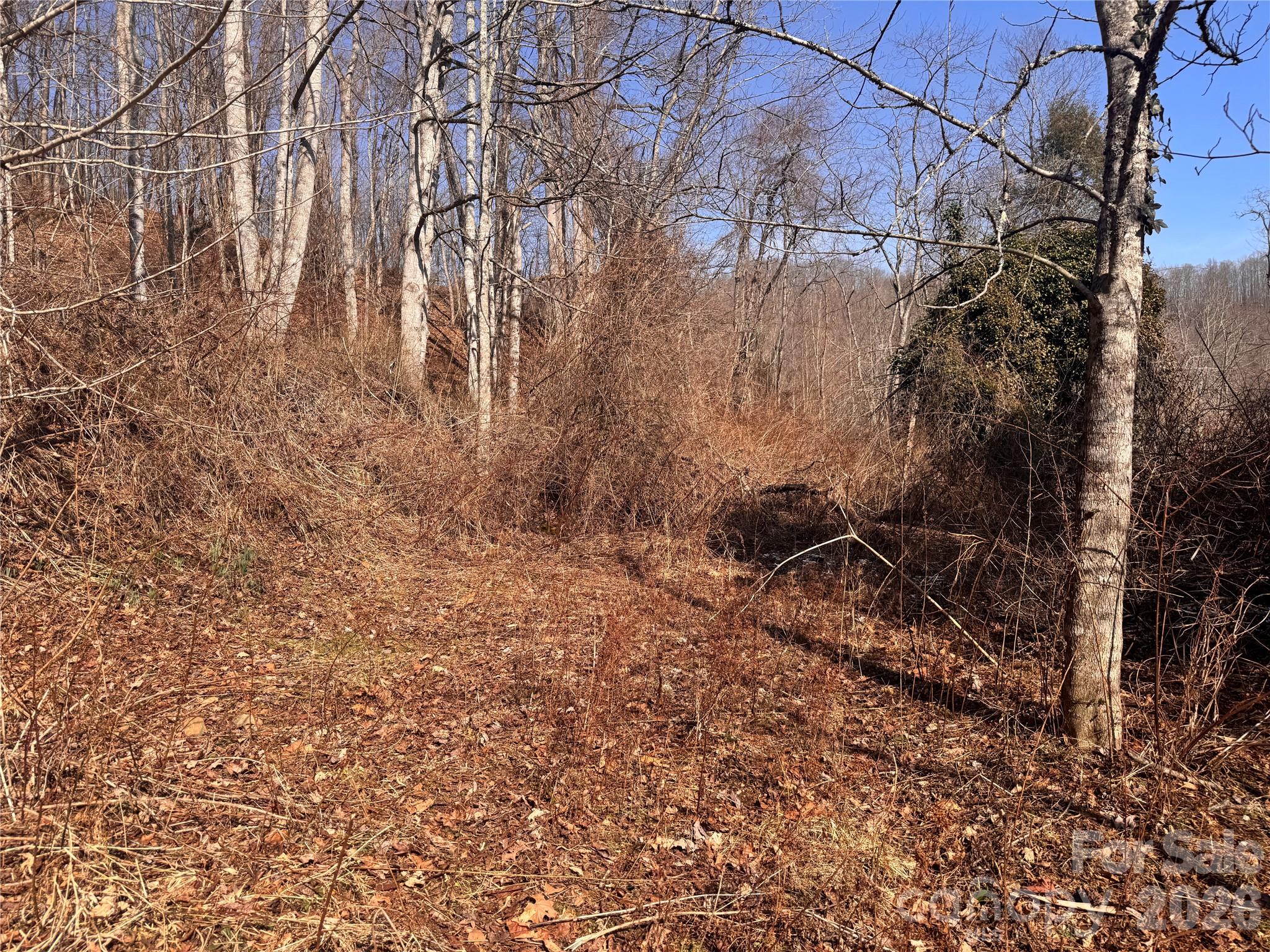 00 S Us 19 Highway E Newland NC 28657