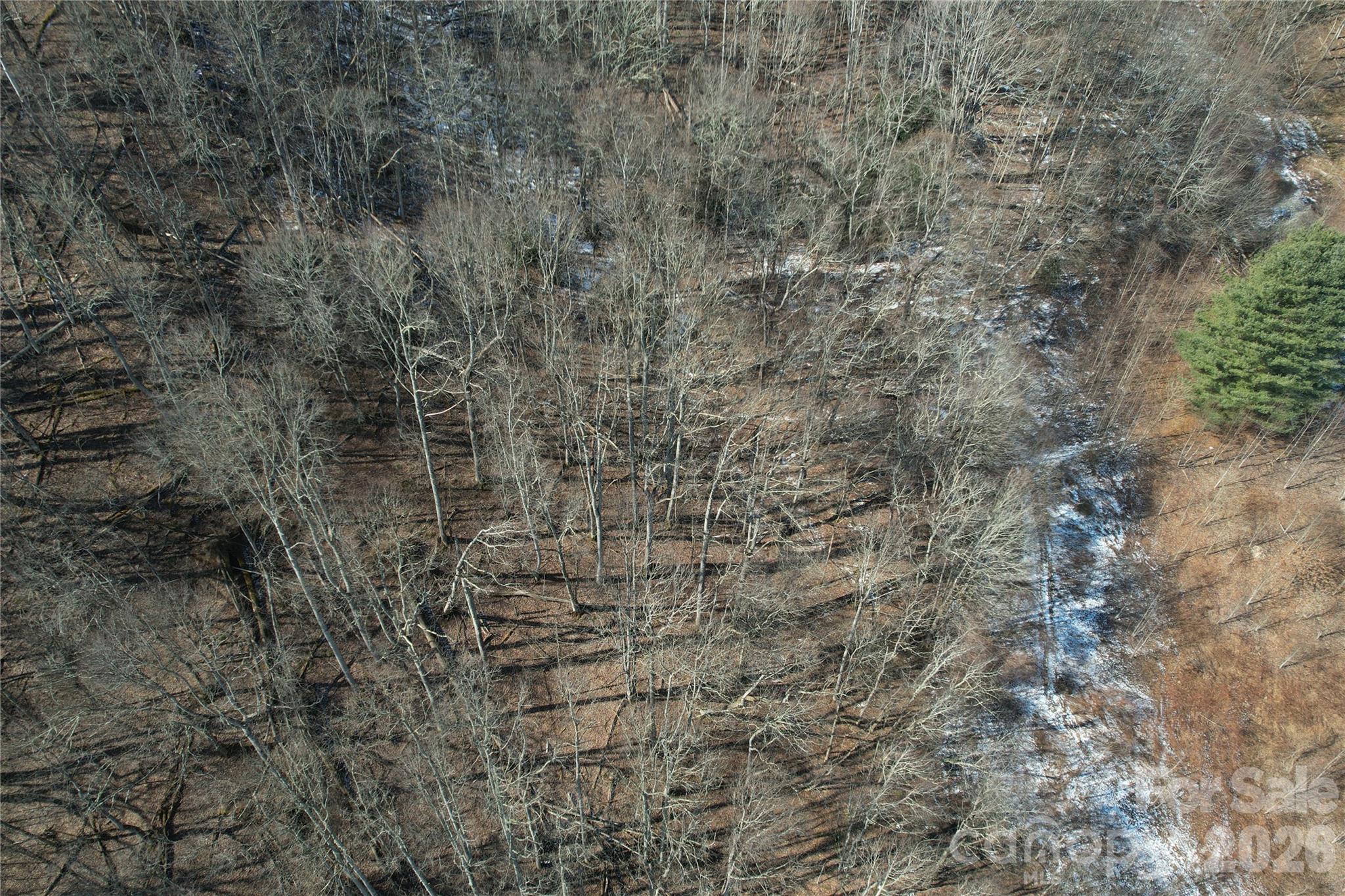 00 S Us 19 Highway E Newland NC 28657