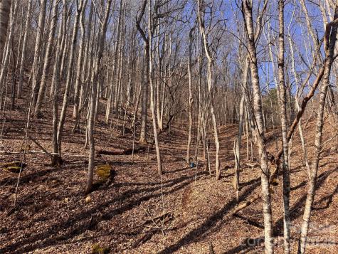 00 S Us 19 Highway E Newland NC 28657