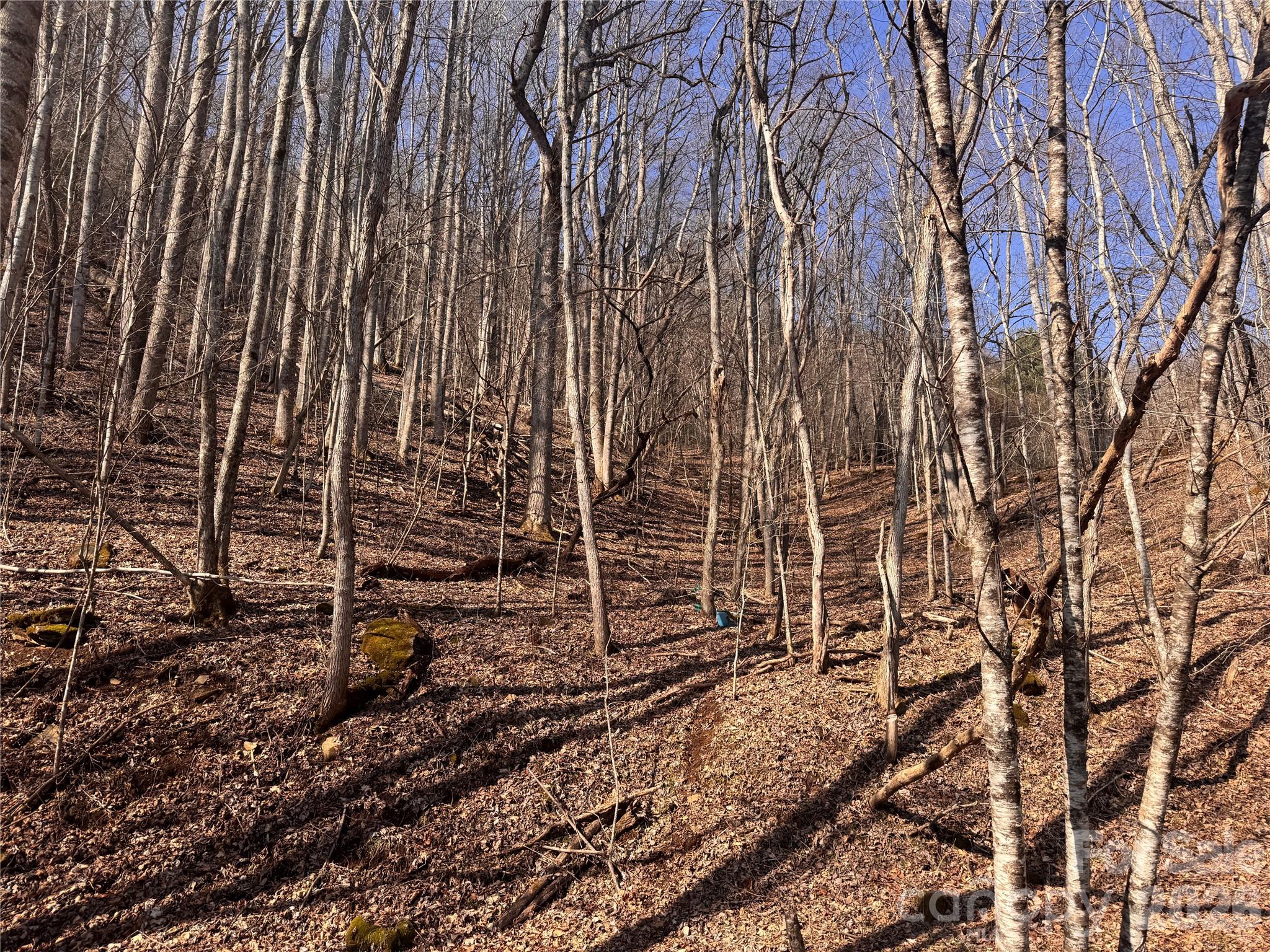 00 S Us 19 Highway E Newland NC 28657
