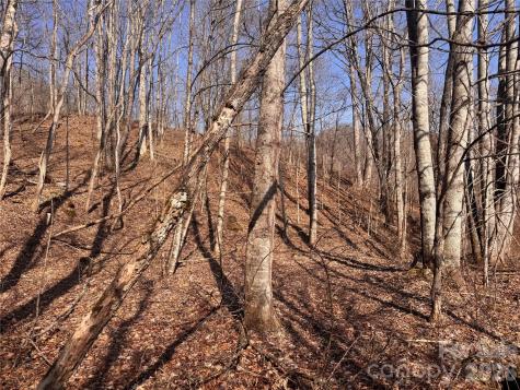 00 S Us 19 Highway E Newland NC 28657