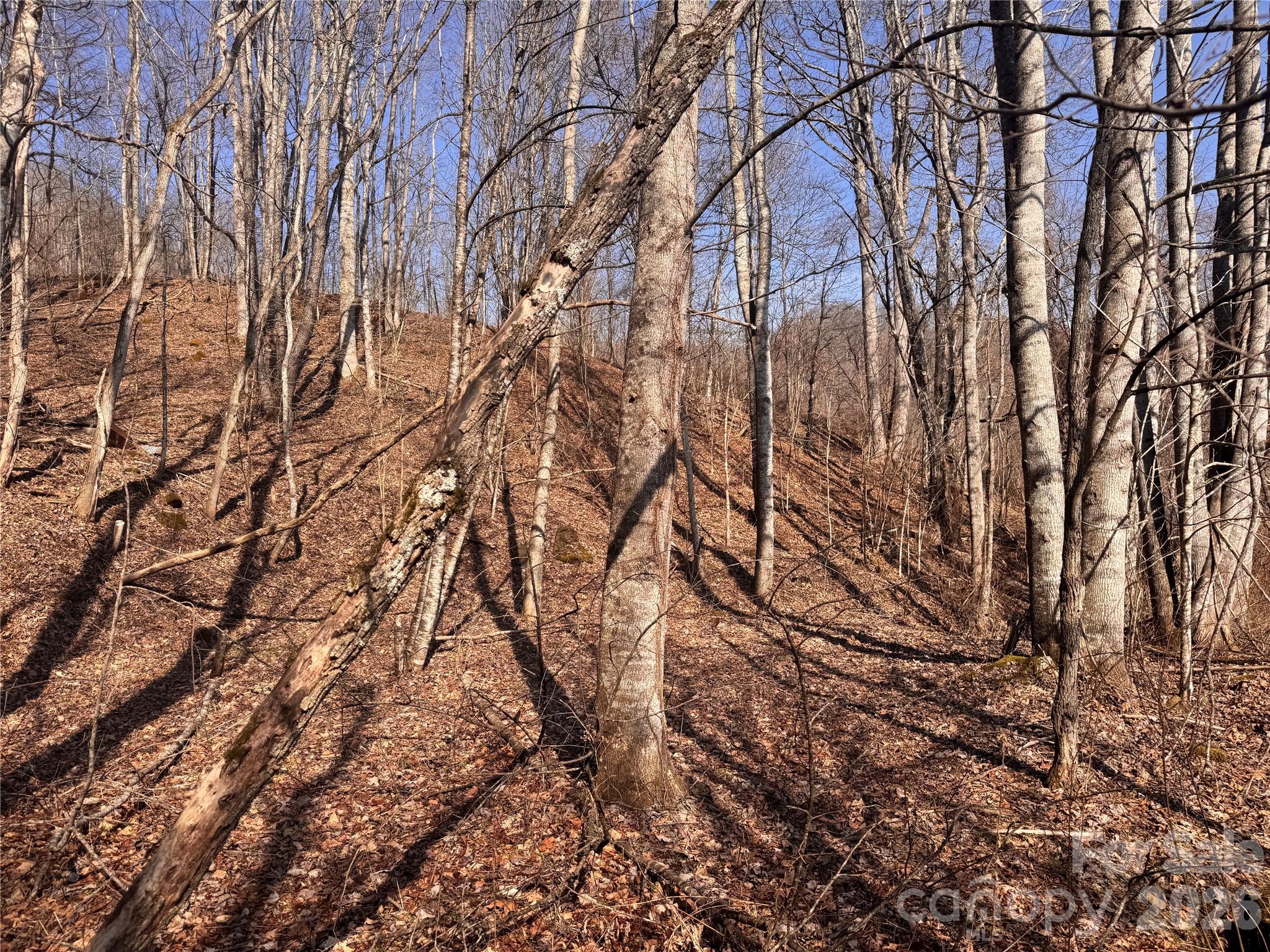 00 S Us 19 Highway E Newland NC 28657